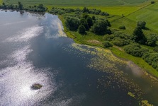 Na hladině Velké Strany vznikl první plovoucí ostrov v Plzeňském kraji. Pomůže ptákům i přírodě Na hladině Velké Strany vznikl první plovoucí ostrov v Plzeňském kraji. Pomůže ptákům i přírodě