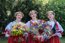 Oživené prohlídky i koncert: Dožínky Plzeňského kraje letos zamíří na hrad Švihov